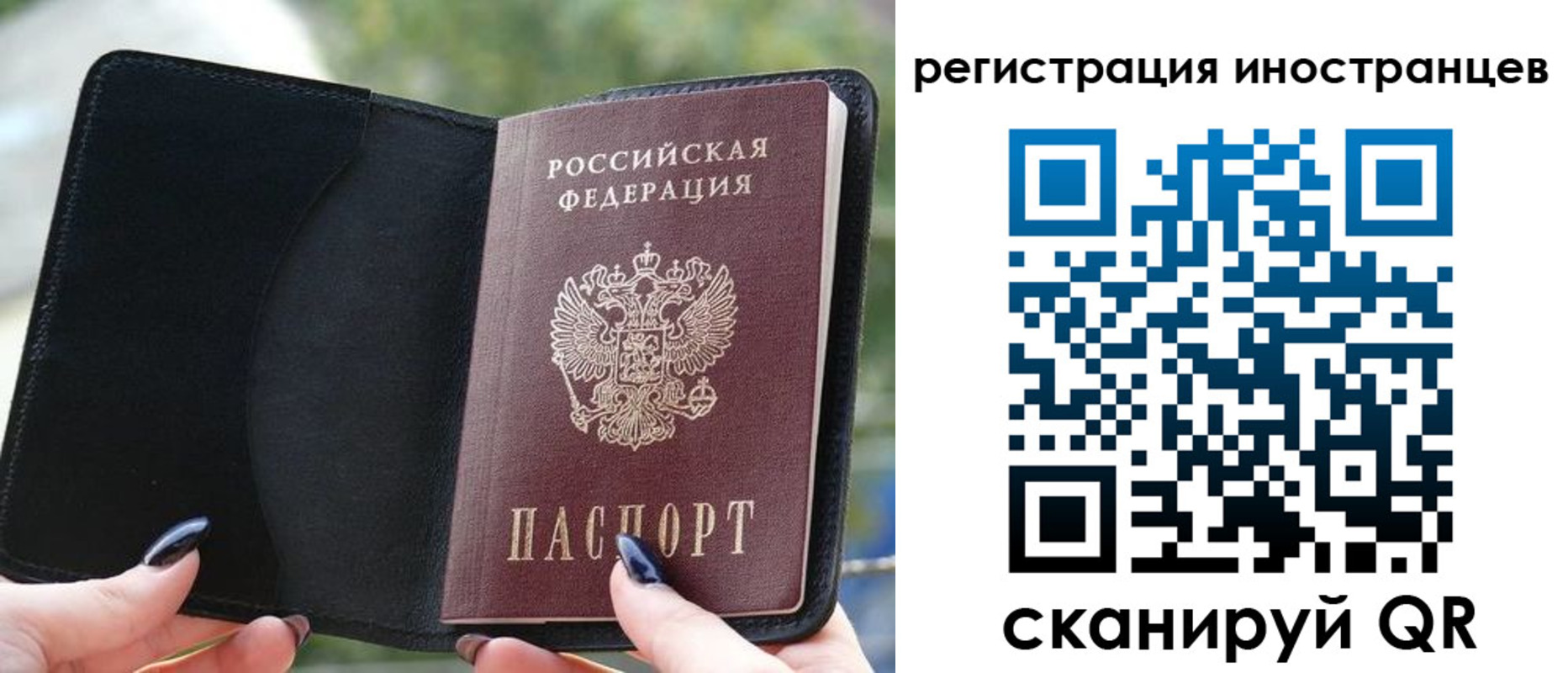 найти адрес прописки в Торопеце
